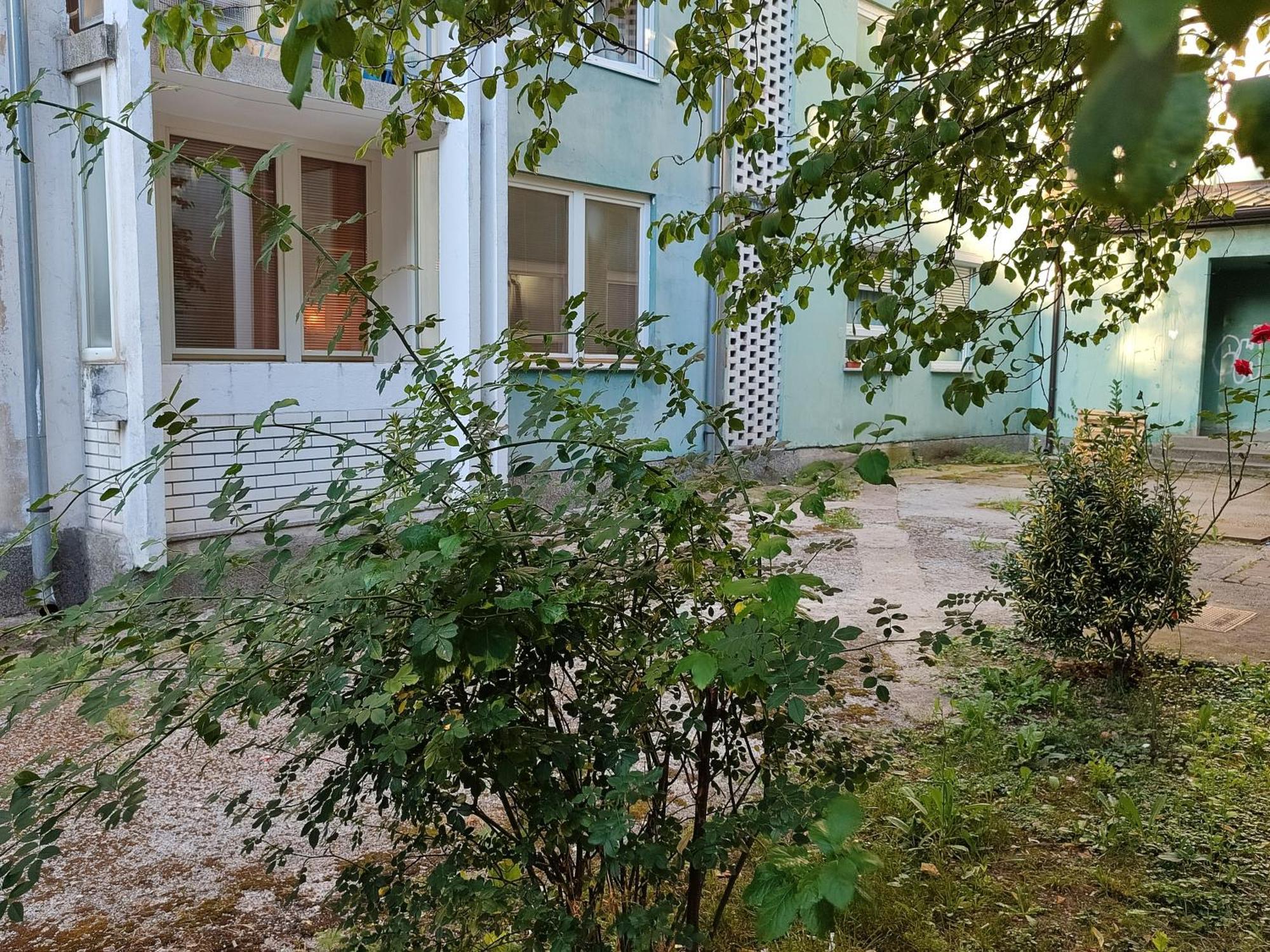 Shiny Thumb Apartment Біхач Екстер'єр фото